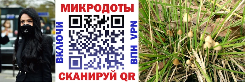 Галлюциногенные грибы прущие грибы  даркнет сайт  Абинск 
